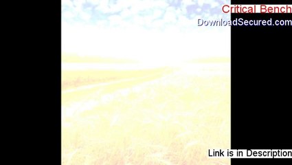 Critical Bench Review (Hear my Review)