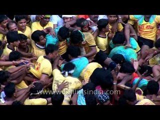 Govindas tumbled over each other