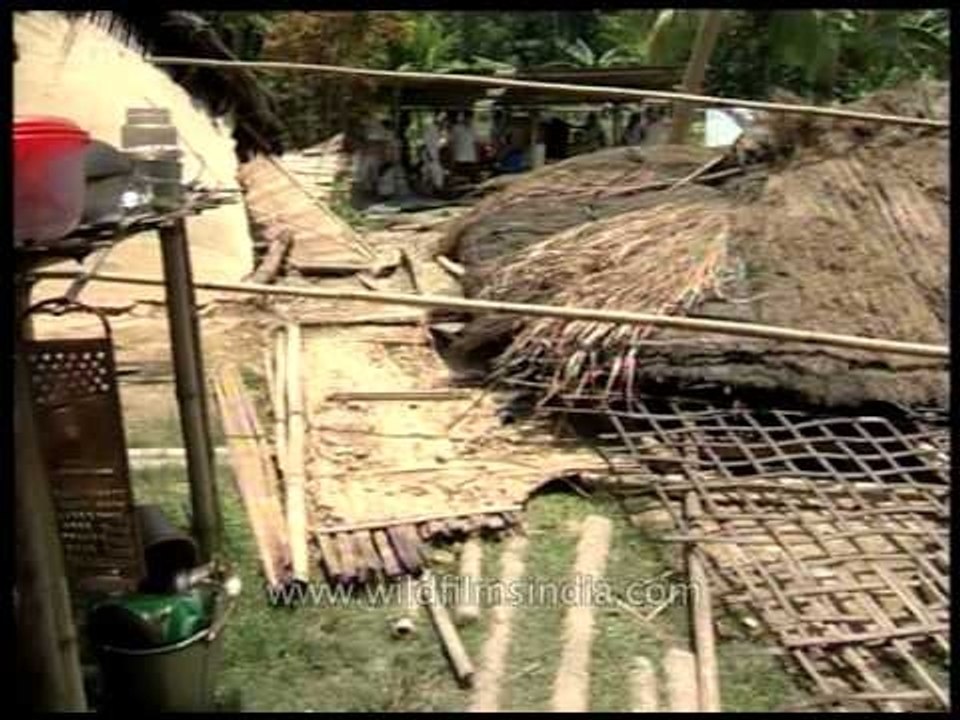 Damage caused by wild Elephants