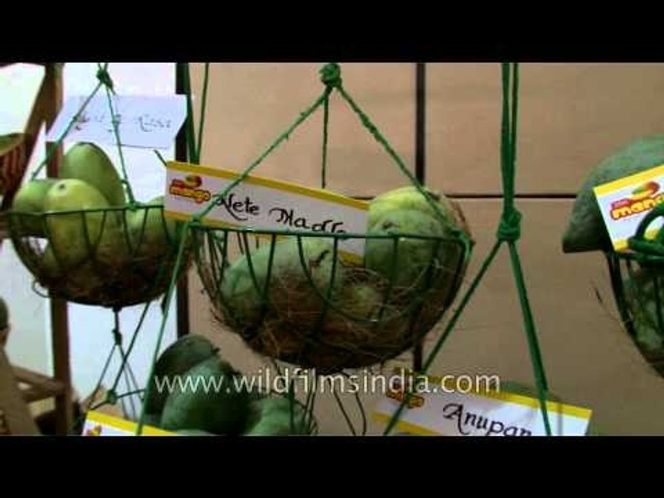 A festival for the mango lovers