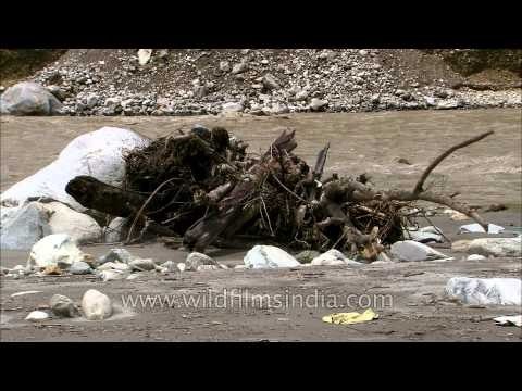 Devastation lies in the open in Vijaynagar: Post Uttarakhand