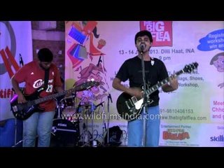 Energetic Alternative Rock performance: The Big Fat Flea