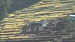 Terrace farming on the Himalayan slopes in Uttaranchal, India( view from the foothills)