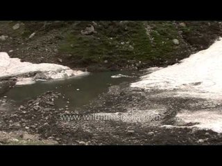 Half frozen or half melted lake: Garhwal's Gidara Buggyal trek