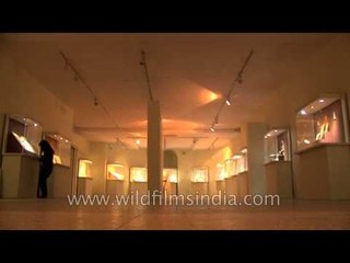 Moar than 300 relics displayed at an exhibition by ASI