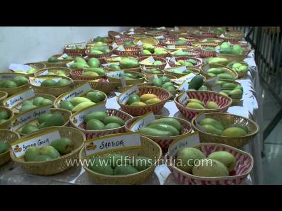 Mangos aplenty at Mango Festival, Dilli haat Pitampura