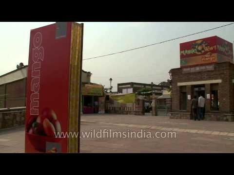25th Mango festival at Dilli haat of Pitampura