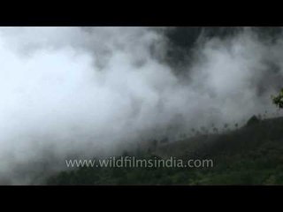 Mist over the valley of Munnar : Kerala