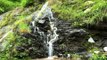 Small waterfall in the premises of Shiva Cafe, McLeod Ganj