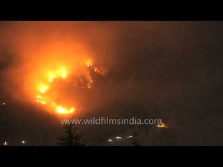 Time lapse of fire in Manali forest