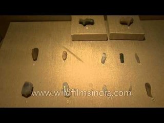 Antiquities from all the major periodic divisions of Indian history (prehistory to modern history)