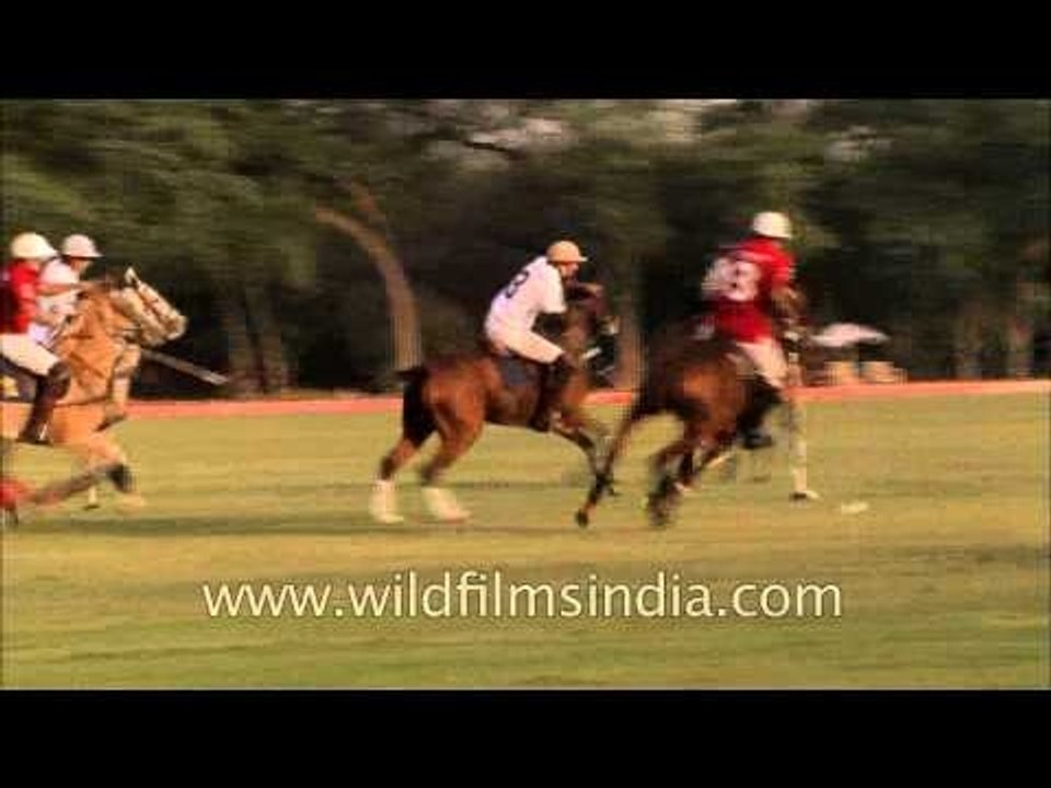 Polo events at PGB Grounds