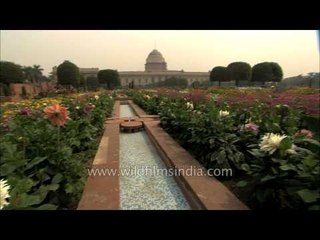 Mughal Gardens : The pride of President's Estate