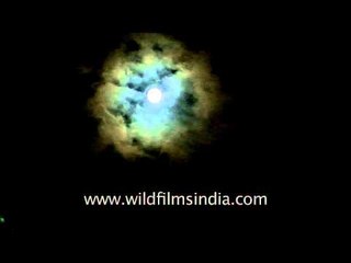 Full moon on a cloudy night