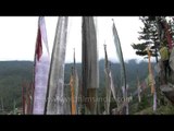 Bhutan Kurjey Festivals: Ceremonial Flags of different hues and sizes on a hill top
