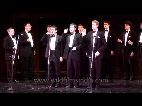 The Krokodiloes: Harvard University's oldest a capella singing group