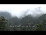 Thimpu valley surrounded by the forest hills in Bhutan