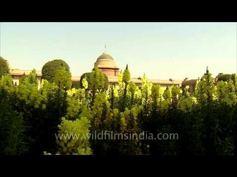 Typical Indian trees and flowers at the President house, Mughal garden