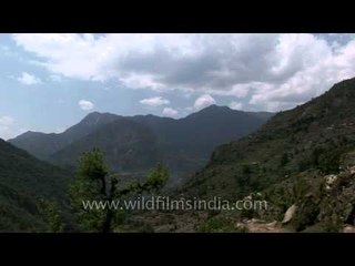 A beautiful view of Agora Village in Uttrakhand