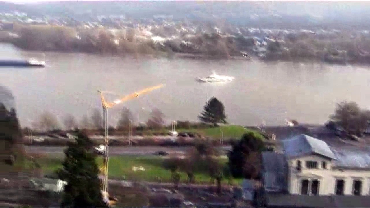 Hans Arp Traumanatomie