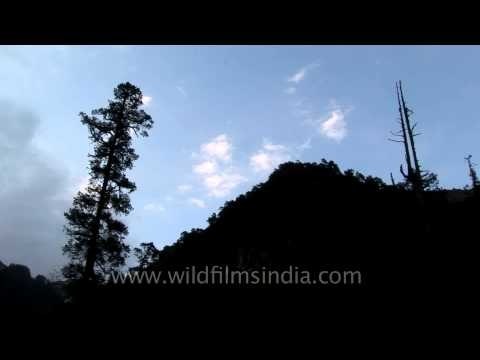 View of sky at Dodital Lake