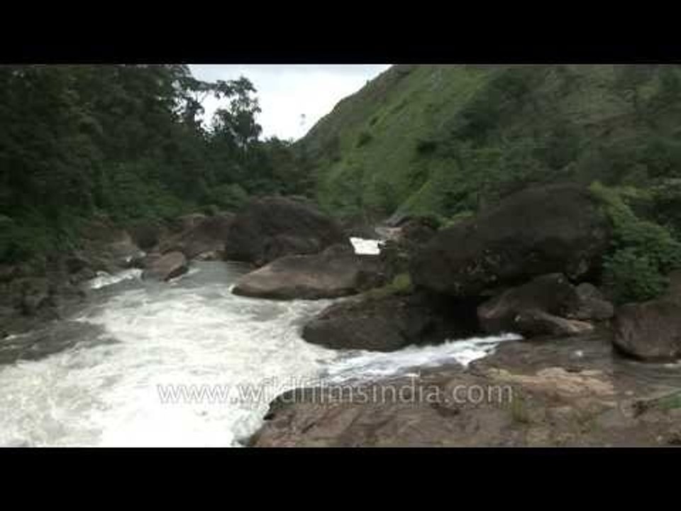 Gushing stream in Munnar