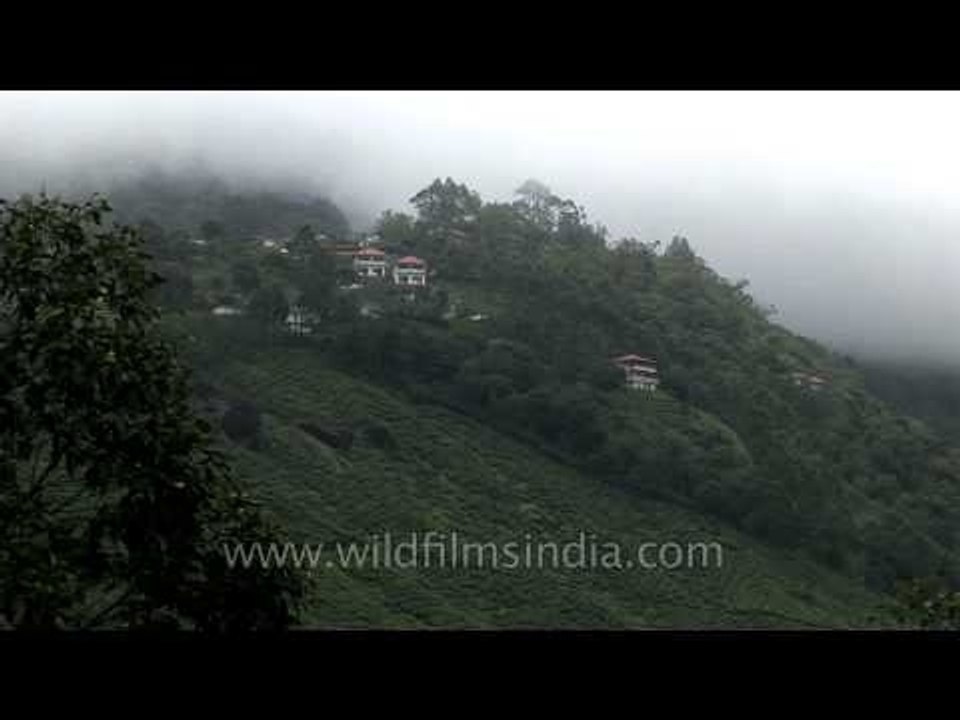 Munnar : Hill station in Kerala