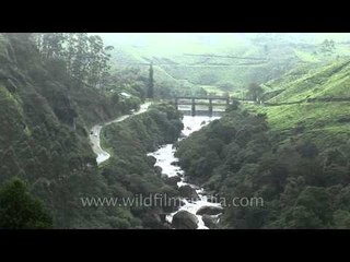 Attukal waterfall- Munnar, Kerala