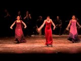Grupo Español realiza el Baile Flamenco en ICCR