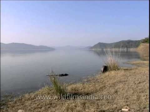 Life line of Corbett National Park - Ramganga River