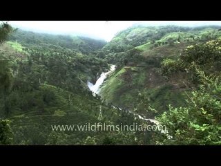 Munnar - Attukal waterfall