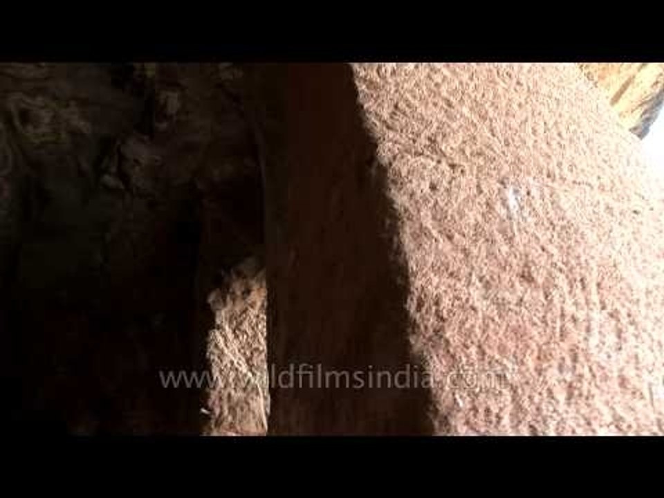Pandavleni Caves: A group of caves, on a tablel...