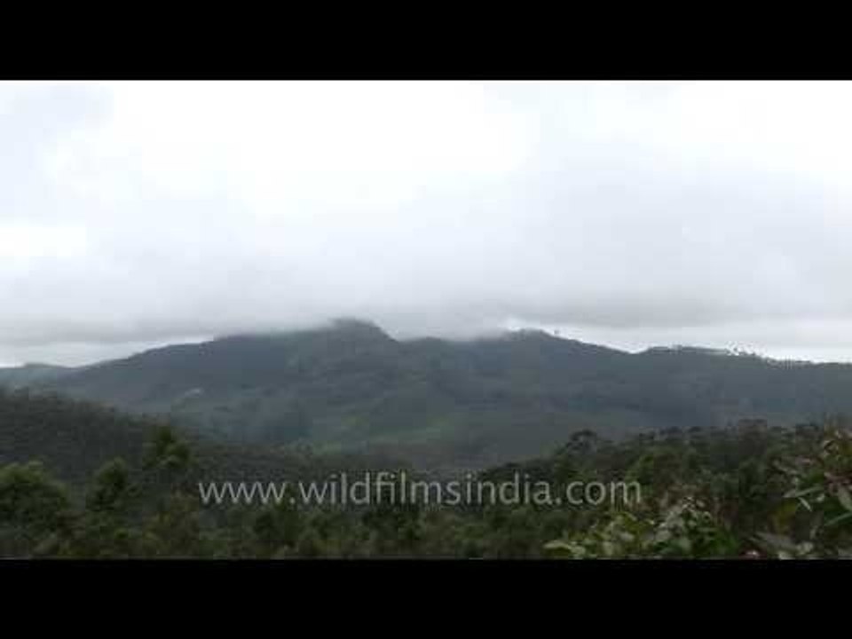 Incredible Kerala