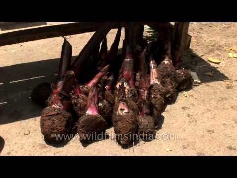 Local vegetable products of Munnar, Kerala