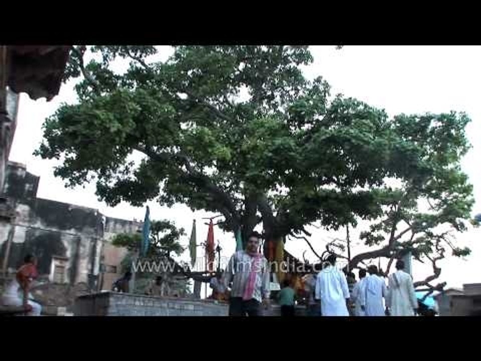 Lord Krishna's temple