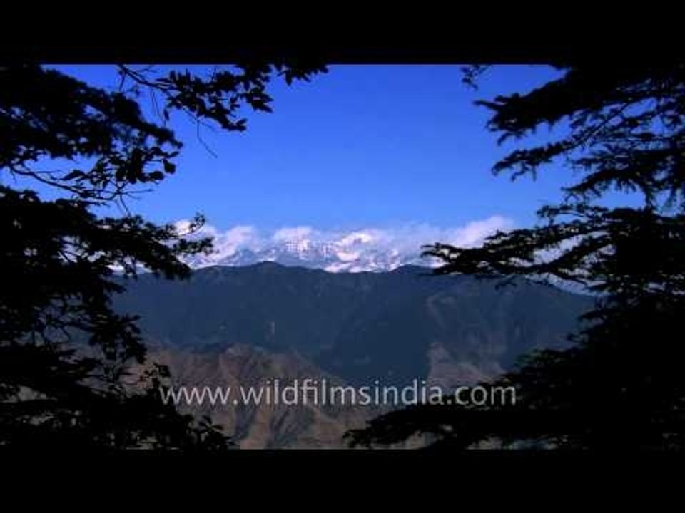 Landour- A scenic paradise