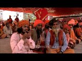 Sadhus enjoying chillum during Samashti Bhandara, Maha Shivratri