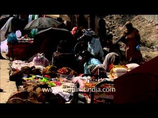 Maha Kumbh Mela : A boon for pitty vendors