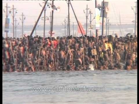 Naga sadhus taking holy dip during Shahi snan at Maha Kumbh 2013