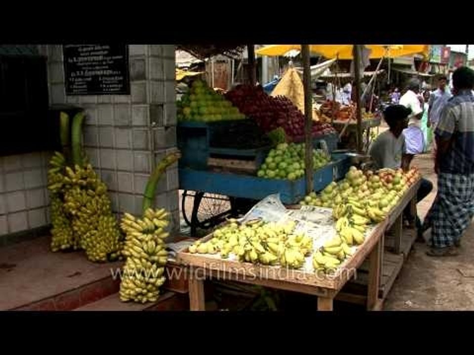 Man selling varieties of fruits at Kanchipuram