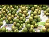 Woman selling pears at a market in Kanchipuram