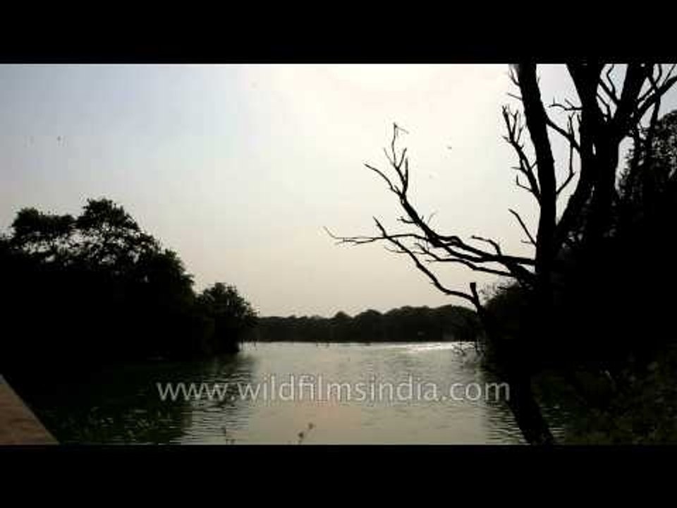 Hauz Khas: A Royal tank from Mughal times