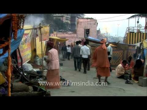 An evening with Sadhus' and Naga Babas' during Maha Shivratri