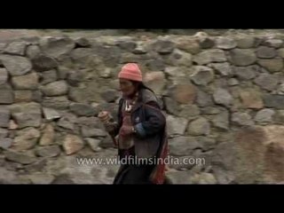 Tibetan women at the Thikse Monastery