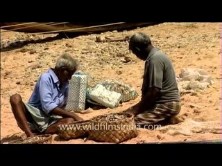Fishermen putting fish into a basket for washing, in the beaches of Kanyakumari