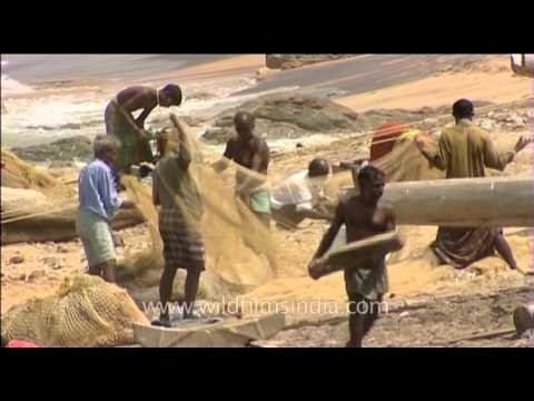 Fisherfolks speading out their fishing net at Kanyakumari