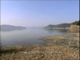 Ramganga River - God's gift of Jim Corbett National Park