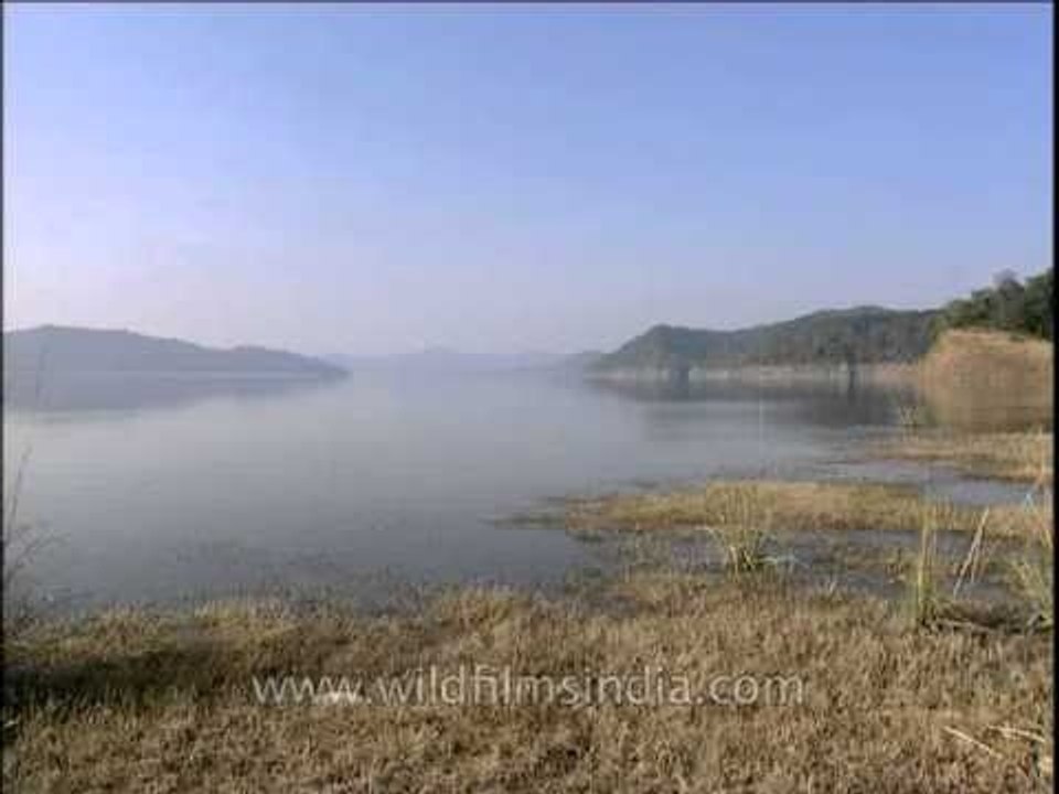 Ramganga River - God's gift of Jim Corbett National Park