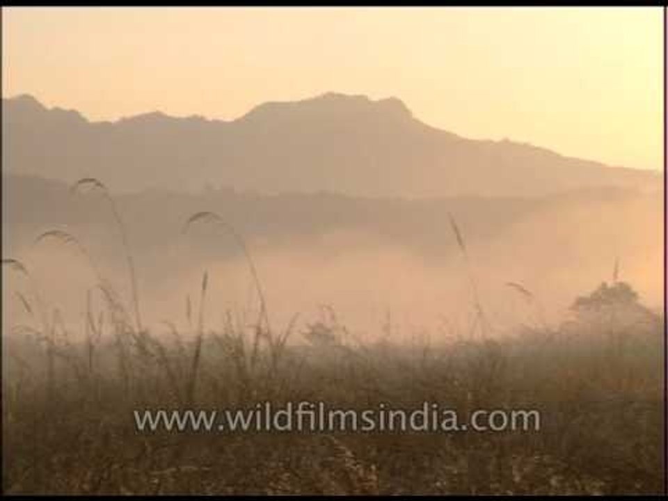 Clouds fading away as the sun rises in Jim Corbett National Park