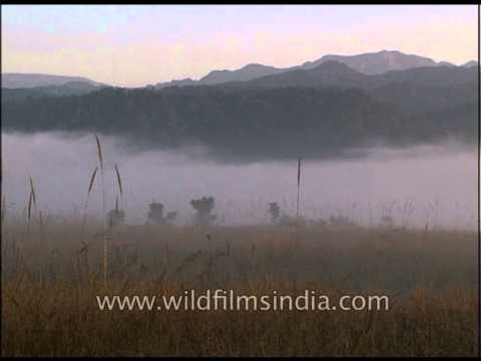 Thick white puffy clouds divide the mountain and plains of Jim Corbett National Park
